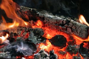 Pfila_20100133