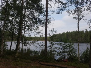 IMG 3157