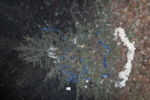 P1030555 