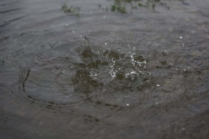 _DSC4585
