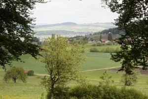  DSC8738