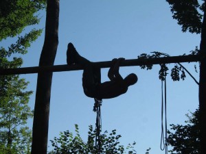 FotoSola2009 (267) 