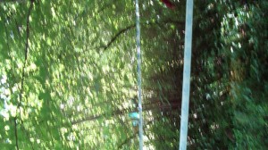 FotoSola2009 (54)